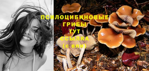 трава Пестово