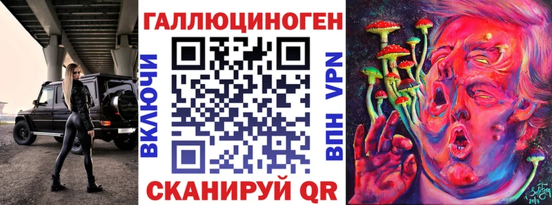 Псилоцибиновые грибы Psilocybine cubensis  Великие Луки 