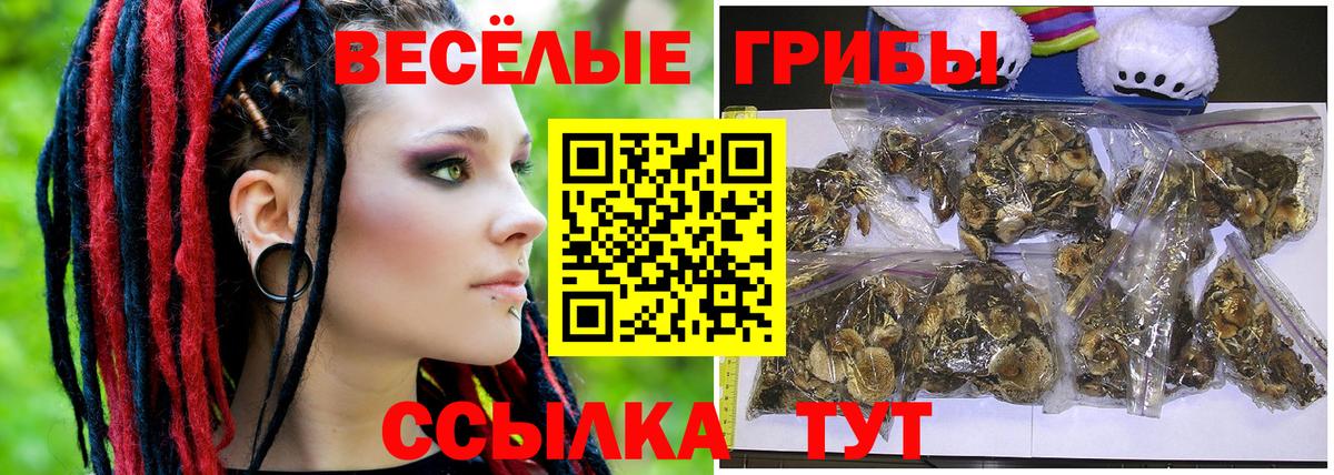 Псилоцибиновые грибы мухоморы  Великие Луки 